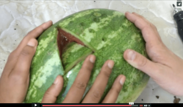 Screen Shot 2016-04-14 at 8.56.31 AM