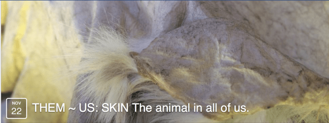 screen-shot-2016-09-07-at-8-57-13-am