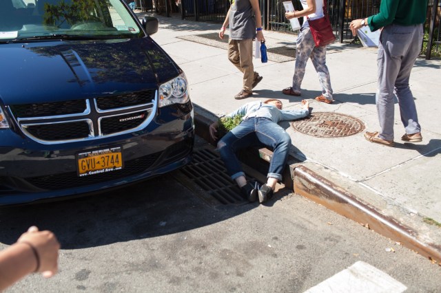 dphiffer-2015-09-05-0379-1960x1306