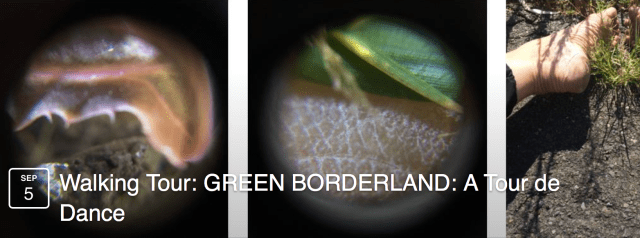 screen-shot-2016-09-07-at-11-32-41-am