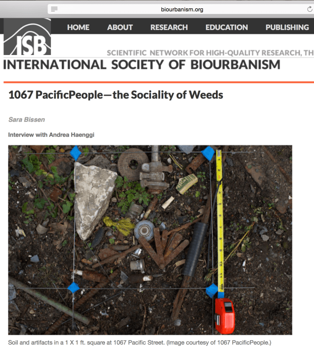 Screen Shot 2017-11-24 at 4.28.18 PM